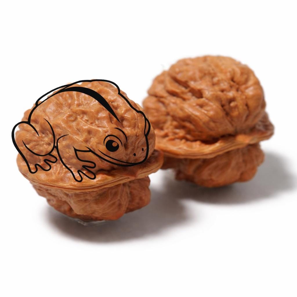 Toad Head Wenwan Walnuts 38-40mm