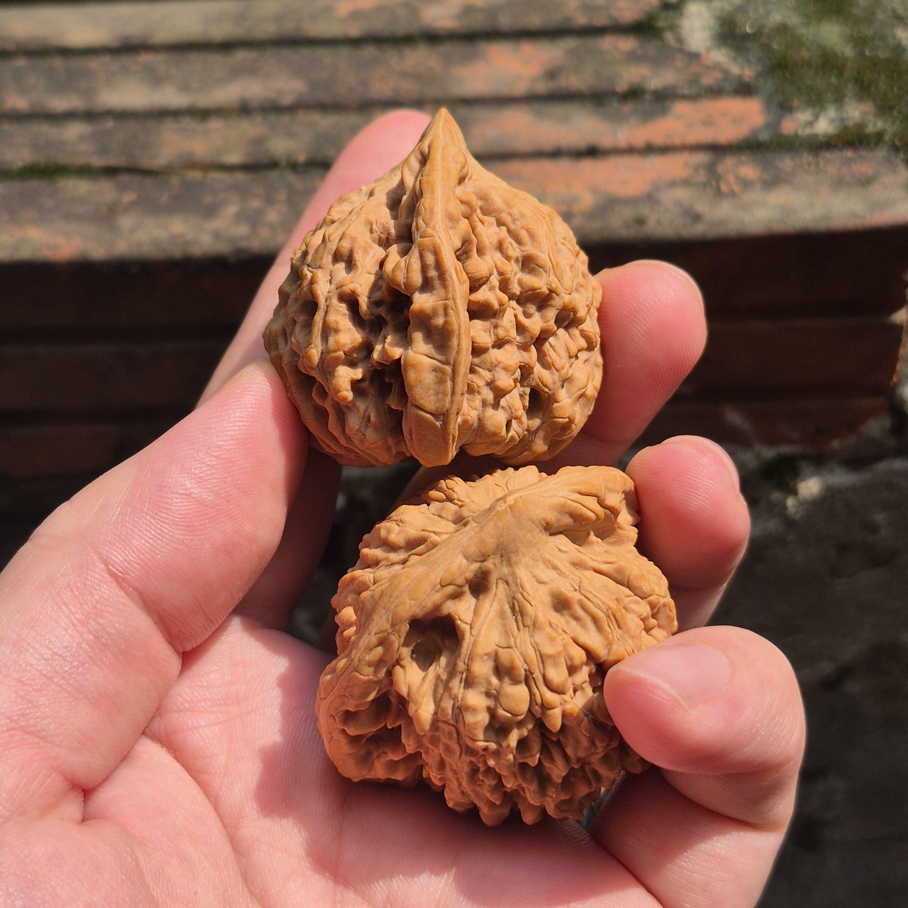 Large Wenwan Walnut Hand Exercise Balls 45-50mm, Pointed Peak Bodhi Shape