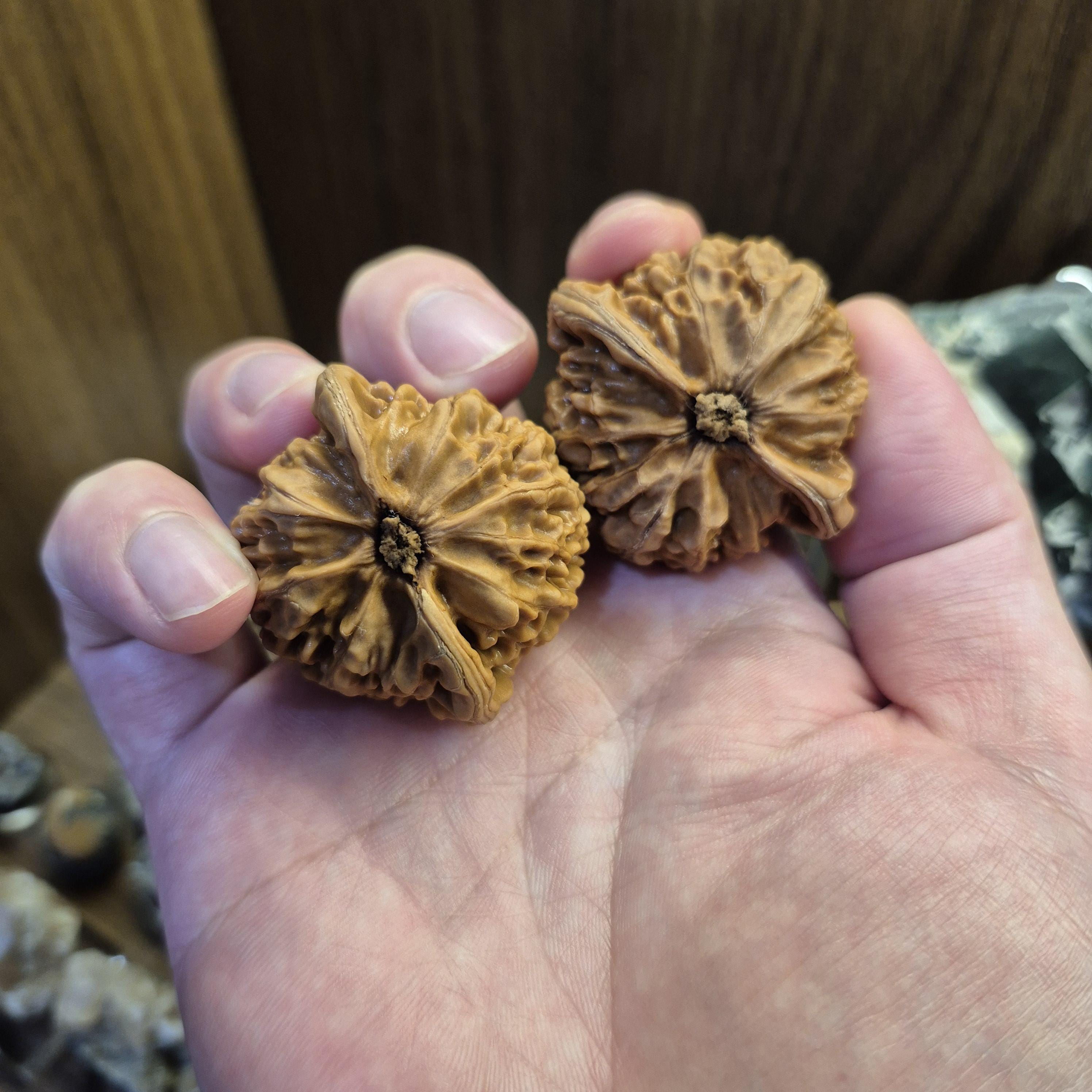 Lantern Wenwan Walnuts 38-40mm