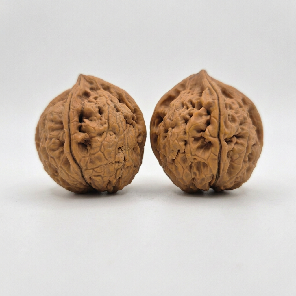 Wenwan Walnuts No 499