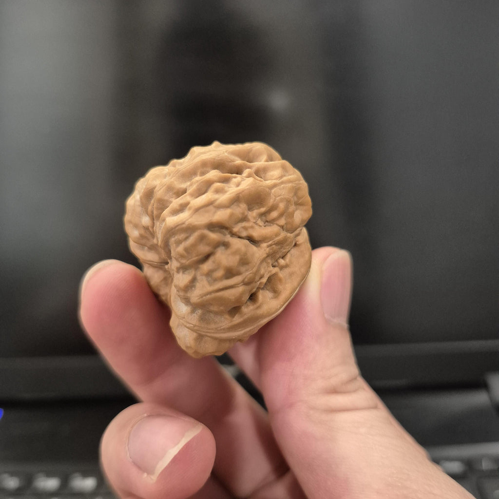 Toad Head Wenwan Walnuts 38-40mm