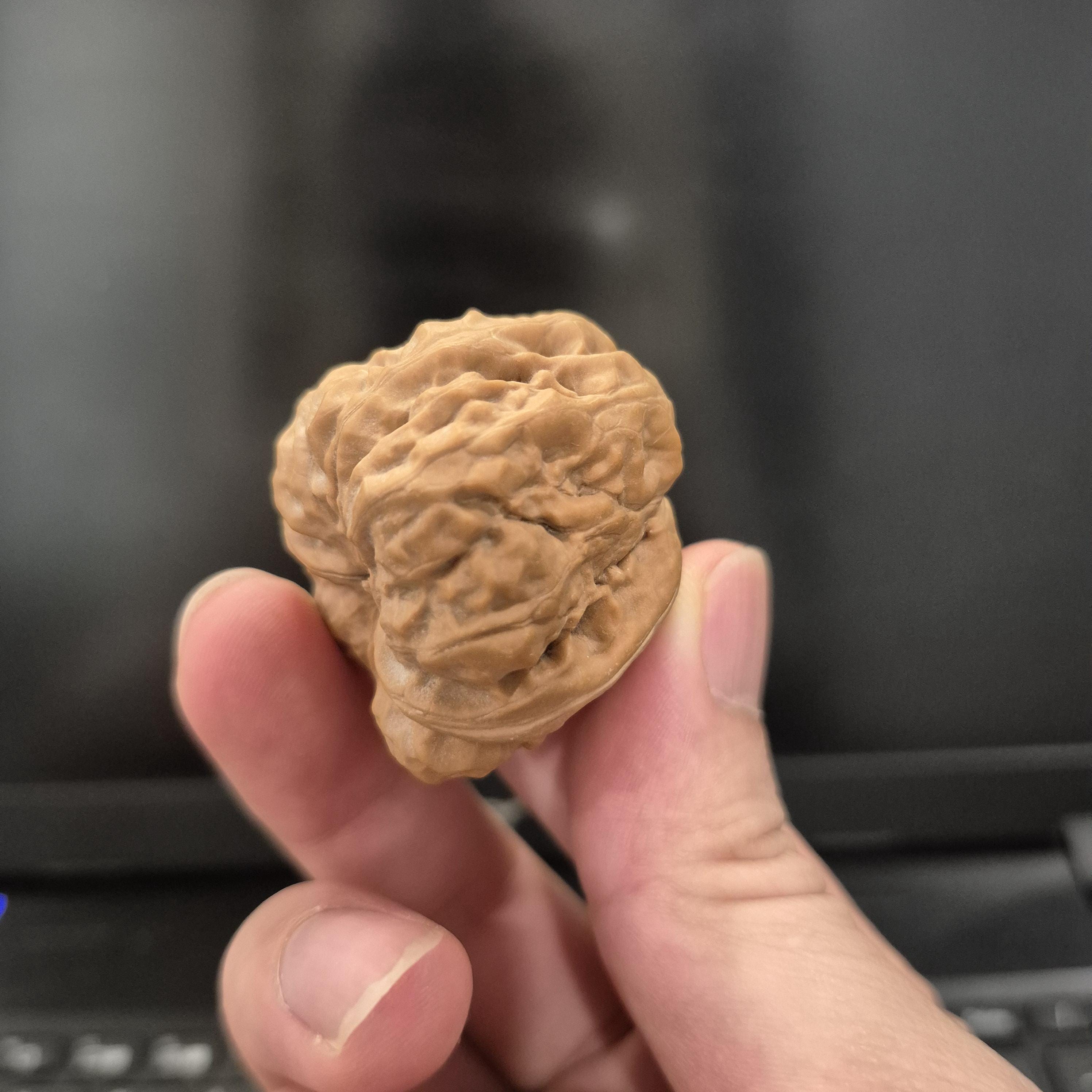 Toad Head Wenwan Walnuts 38-40mm