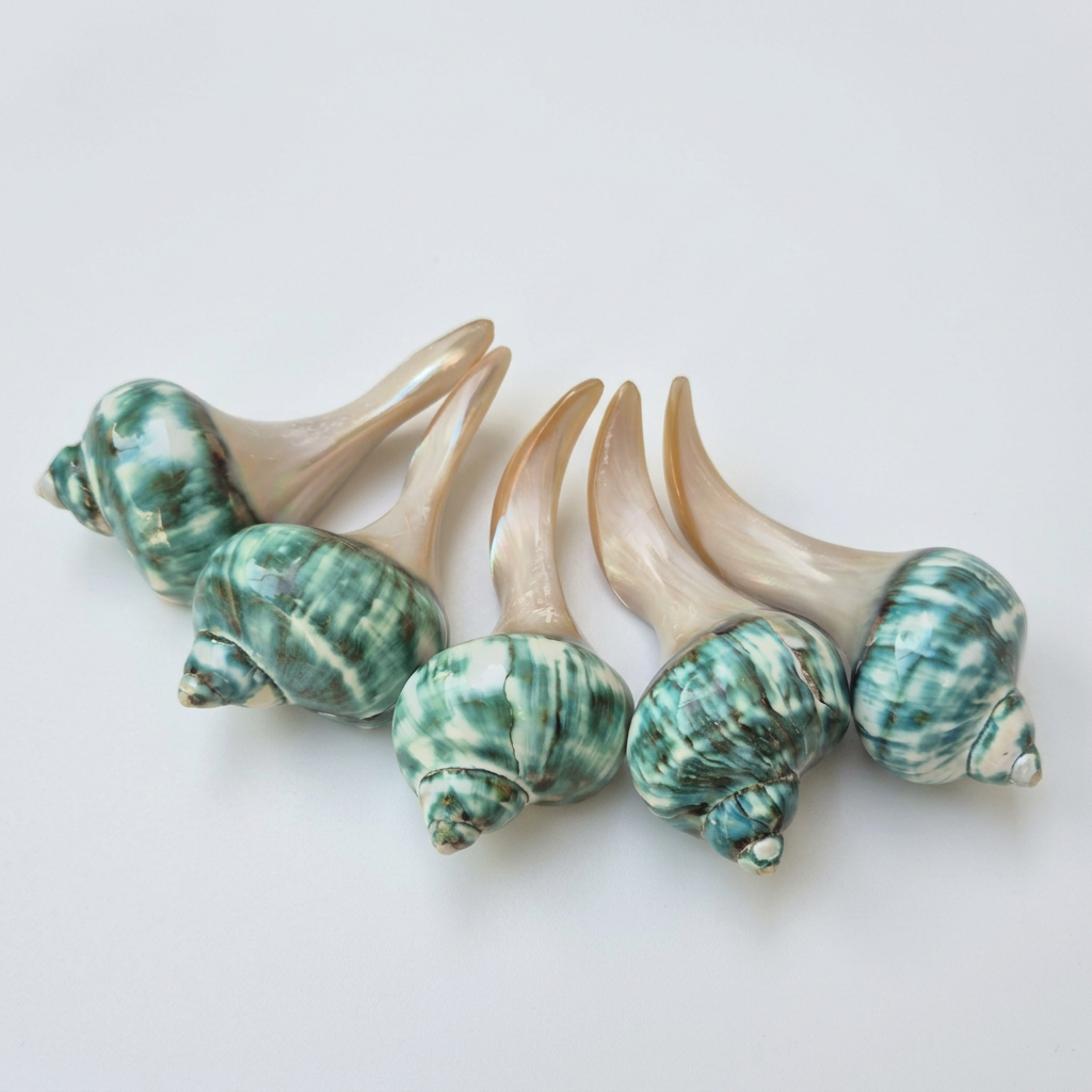 Natural Seashell Chopstick Rest, Coastal Dining Accessory, Beach Wedding Table Setting