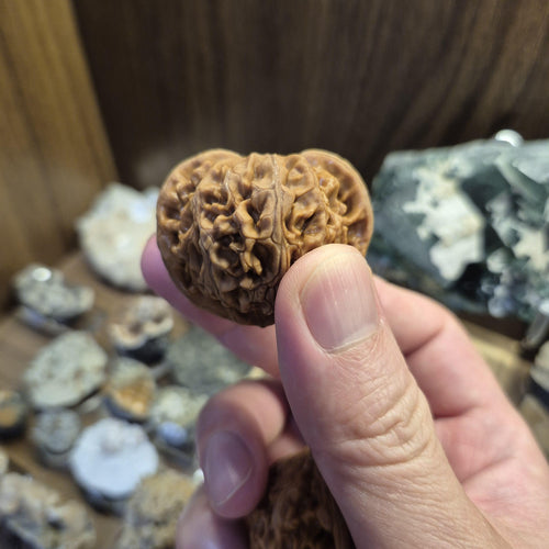 Lantern Wenwan Walnuts 38-40mm