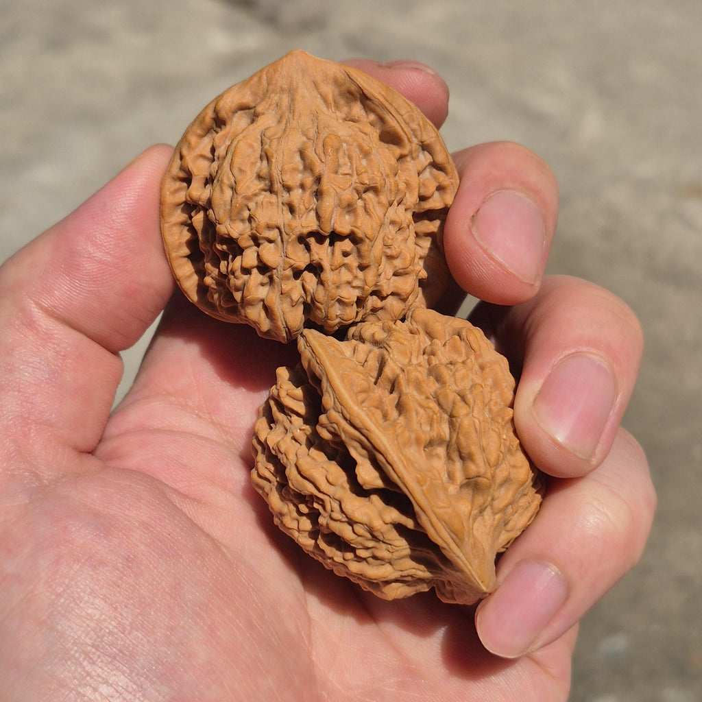 Large Wenwan Walnut Hand Exercise Balls 45-50mm, Pointed Peak Bodhi Shape