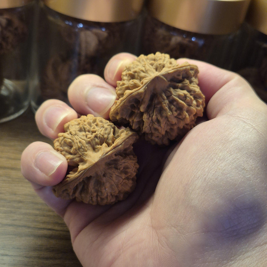 Wenwan Walnuts No 392