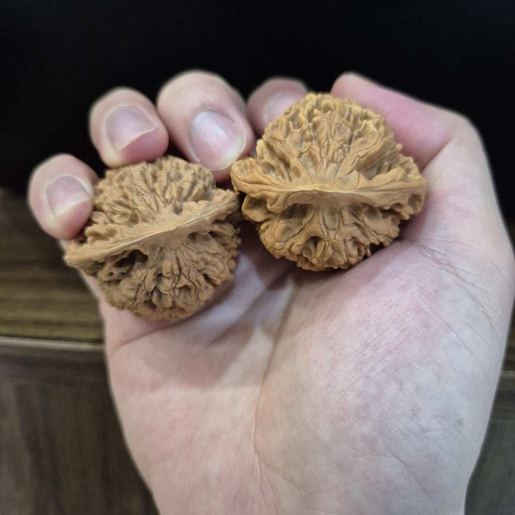 Wenwan Walnuts No 151