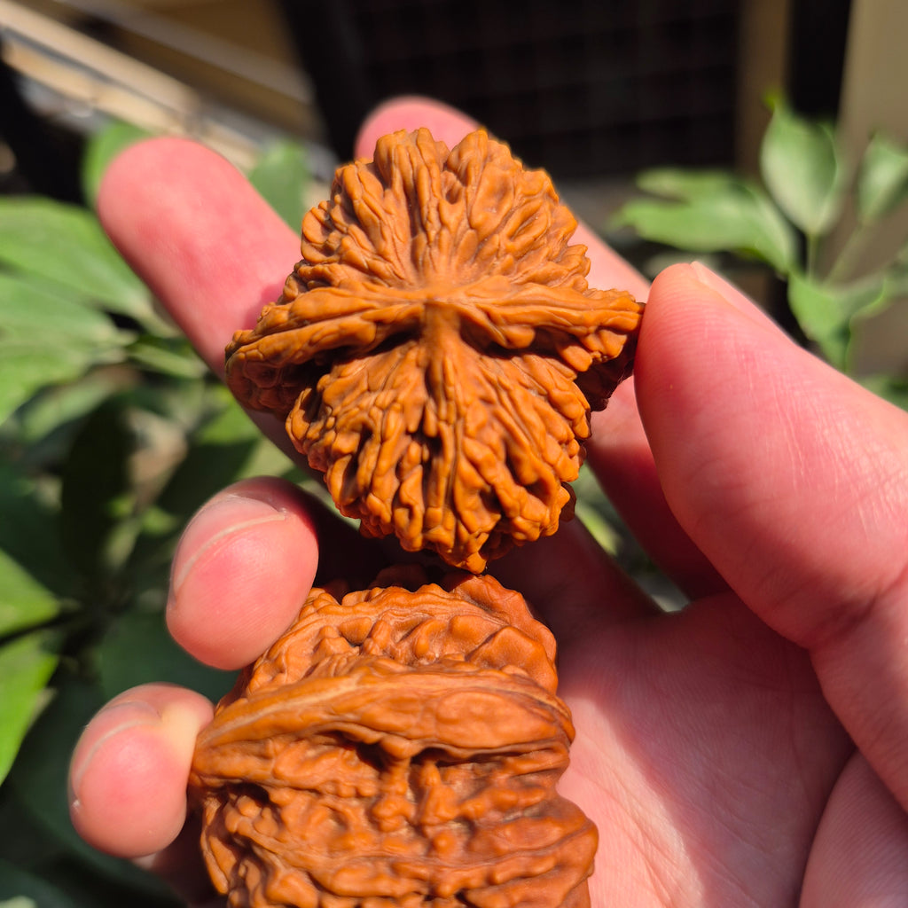 High Quality Wenwan Walnut Hand Rolling Balls, Finger Exercise, Gift Box Included