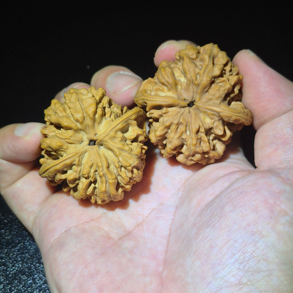 Wenwan Walnuts No 430
