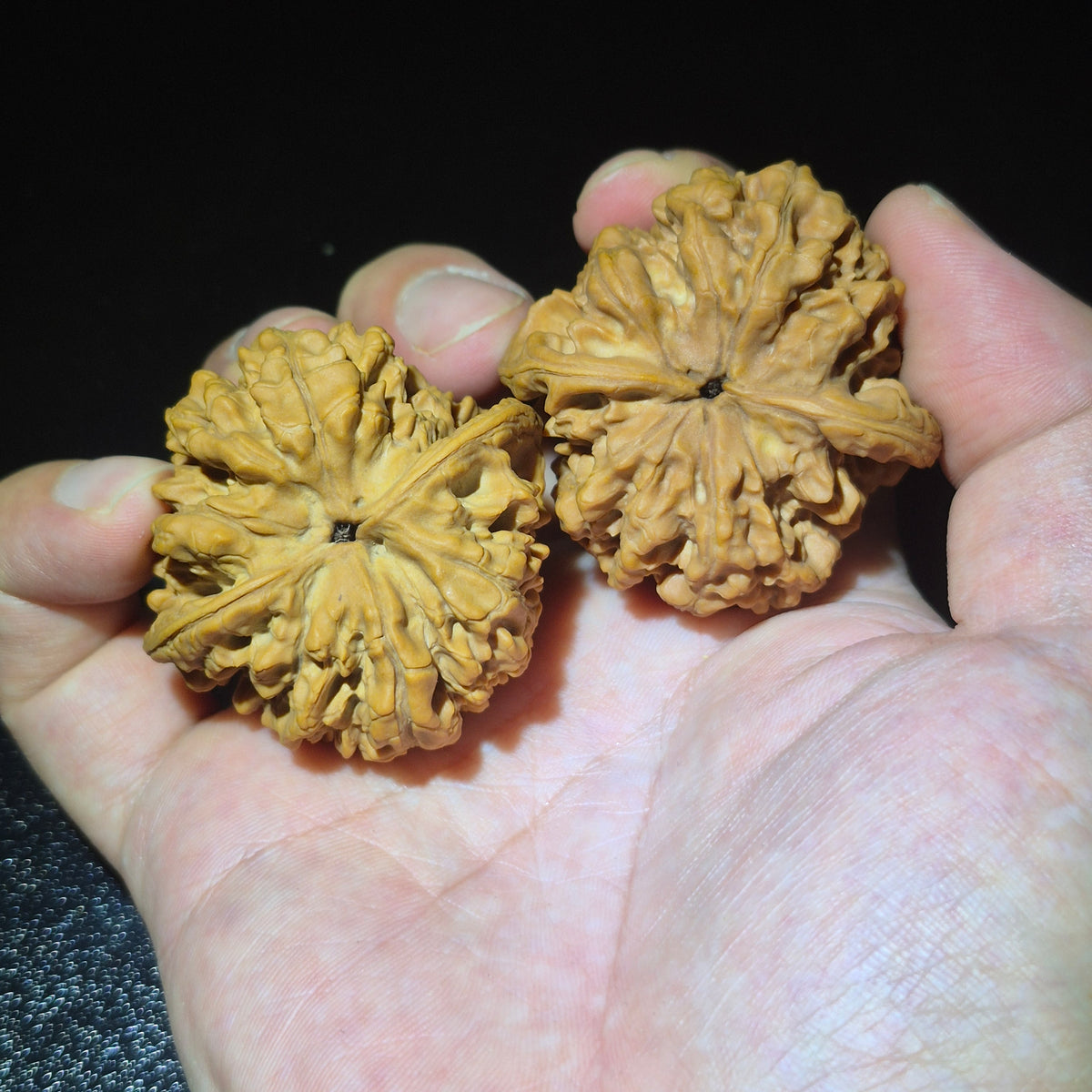 Wenwan Walnuts No 430