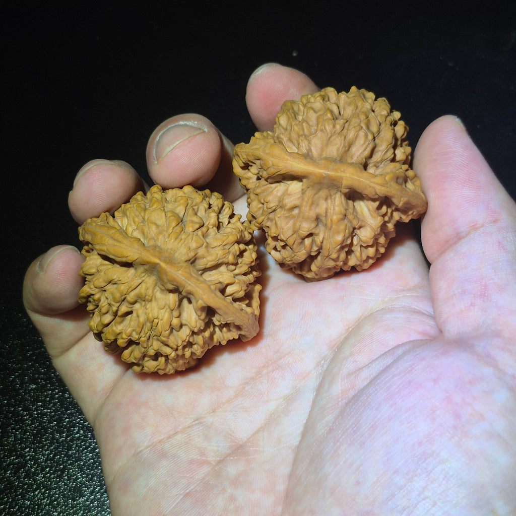 Wenwan Walnuts No 430