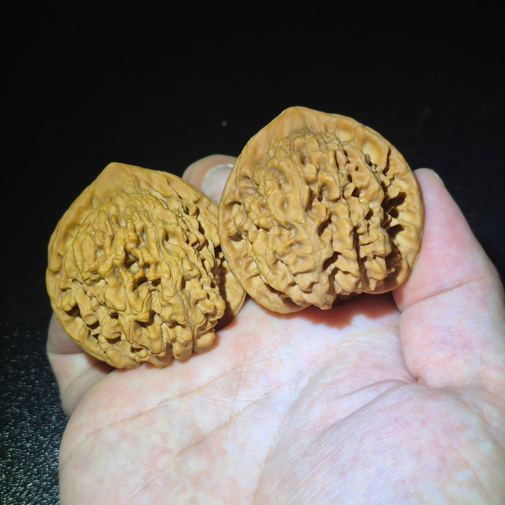 Wenwan Walnuts No 430