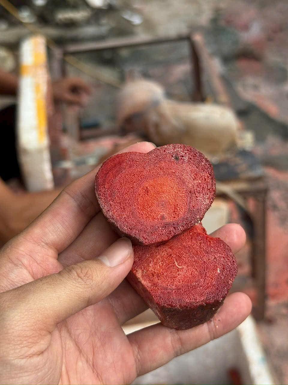 Raw Red Coral 20mm Bead Bracelet, Natural Uncoated Coral Jewelry