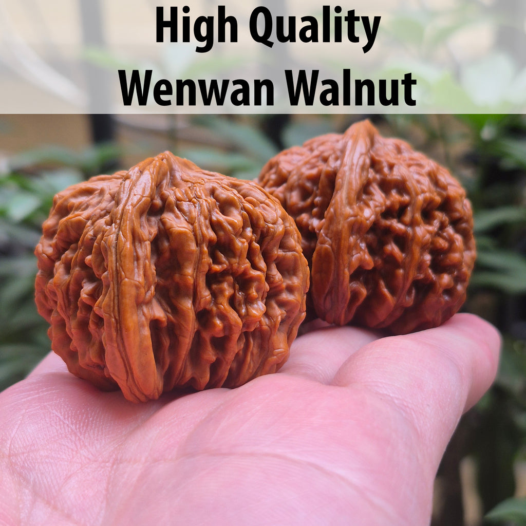 High Quality Wenwan Walnut Hand Rolling Balls, Finger Exercise, Gift Box Included