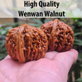 High Quality Wenwan Walnut Hand Rolling Balls, Finger Exercise, Gift Box Included