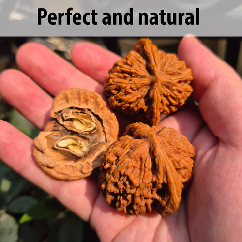 High Quality Wenwan Walnut Hand Rolling Balls, Finger Exercise, Gift Box Included
