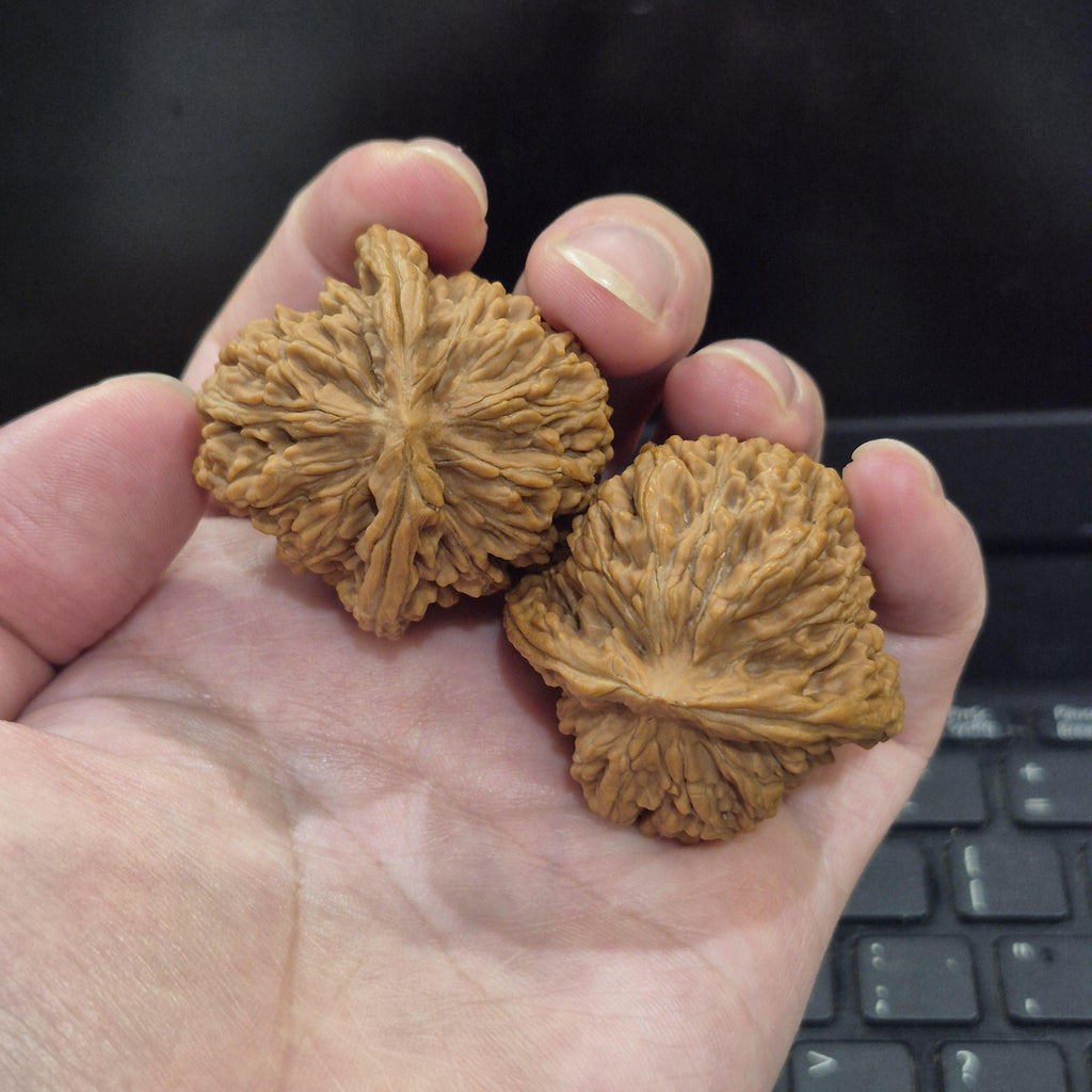 Wenwan Walnuts for Hand Exercise, Natural 4cm Walnut Balls, Hand Massage Gift