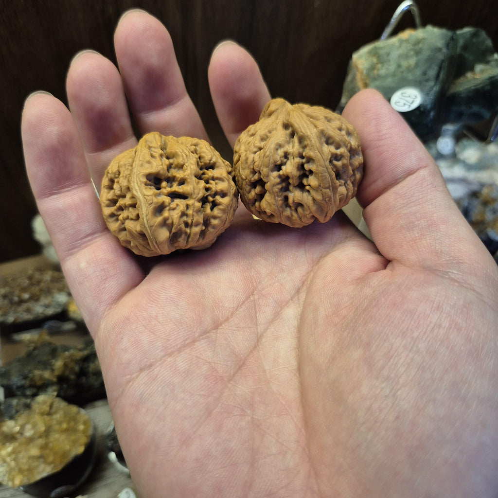 Natural Wenwan Walnut Pair Small Size 35-39mm