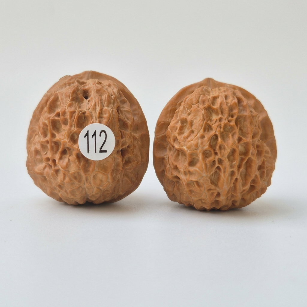 Wenwan Walnuts No 112