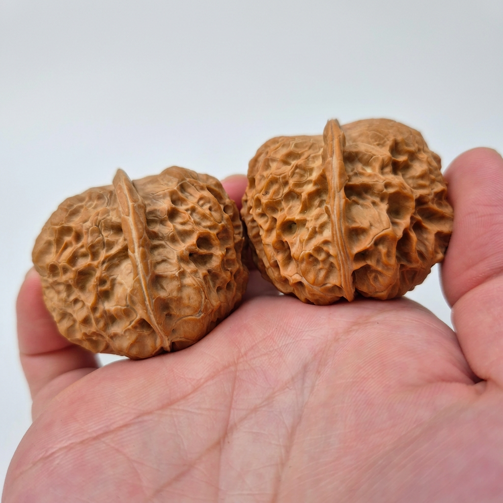 Wenwan Walnuts No 112
