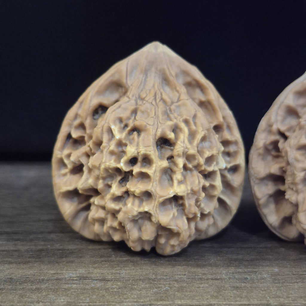Wenwan Walnuts No 151