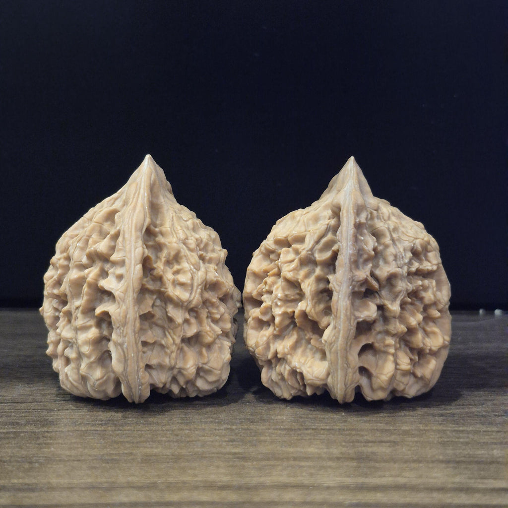 Wenwan Walnuts No 397