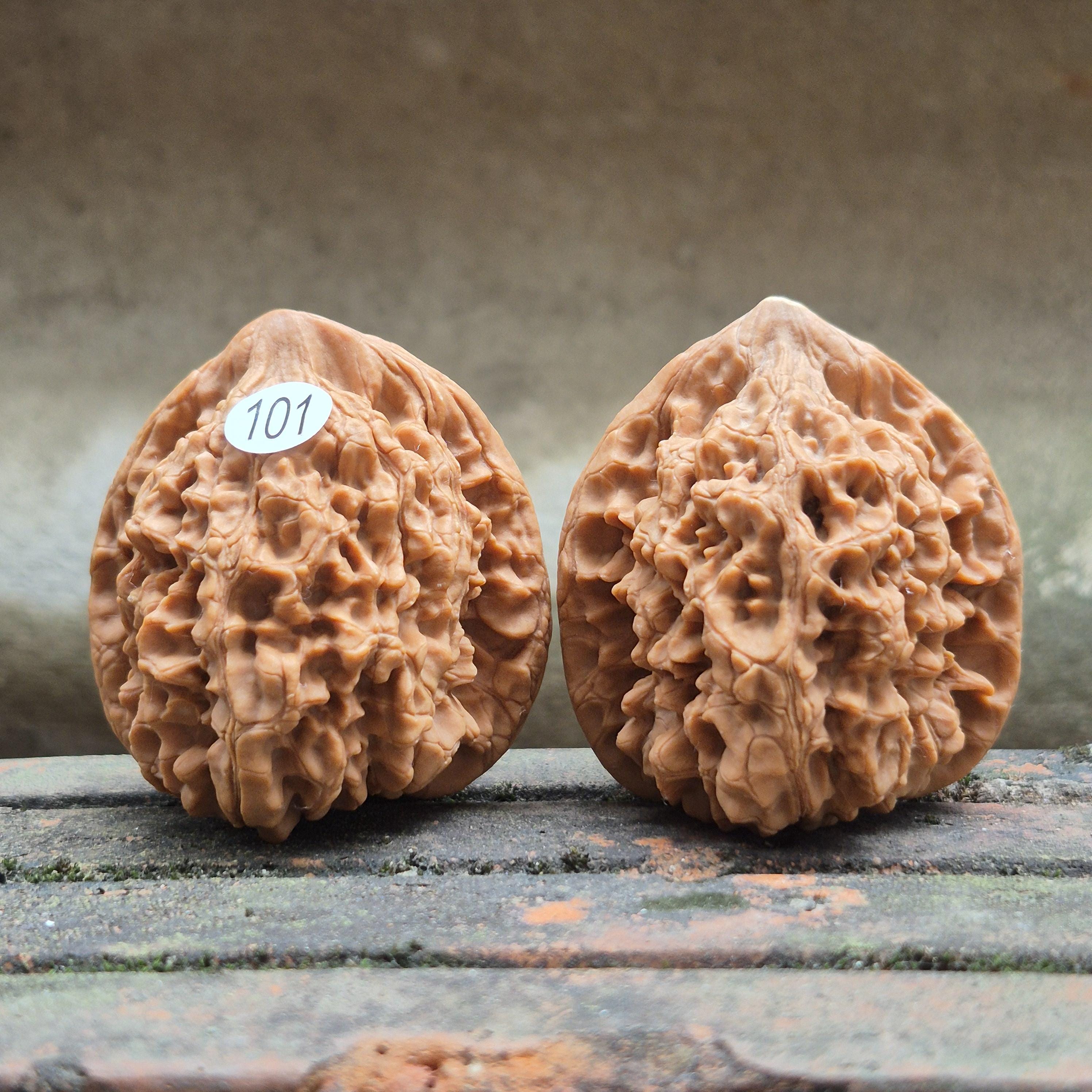 Wenwan Walnuts No 101