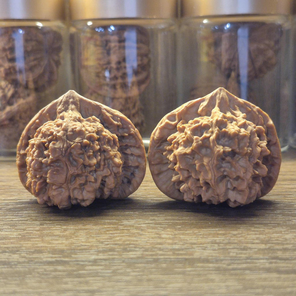 Wenwan Walnuts No 394