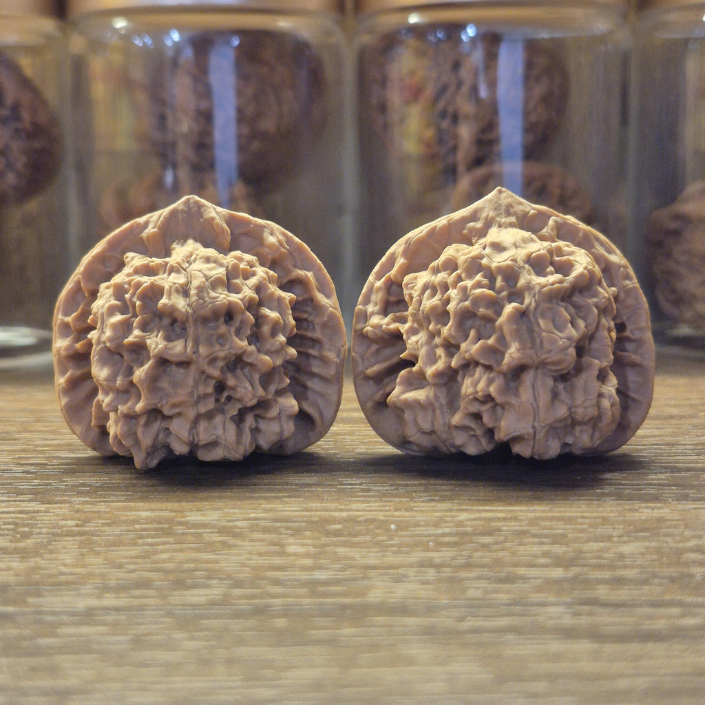 Wenwan Walnuts No 392
