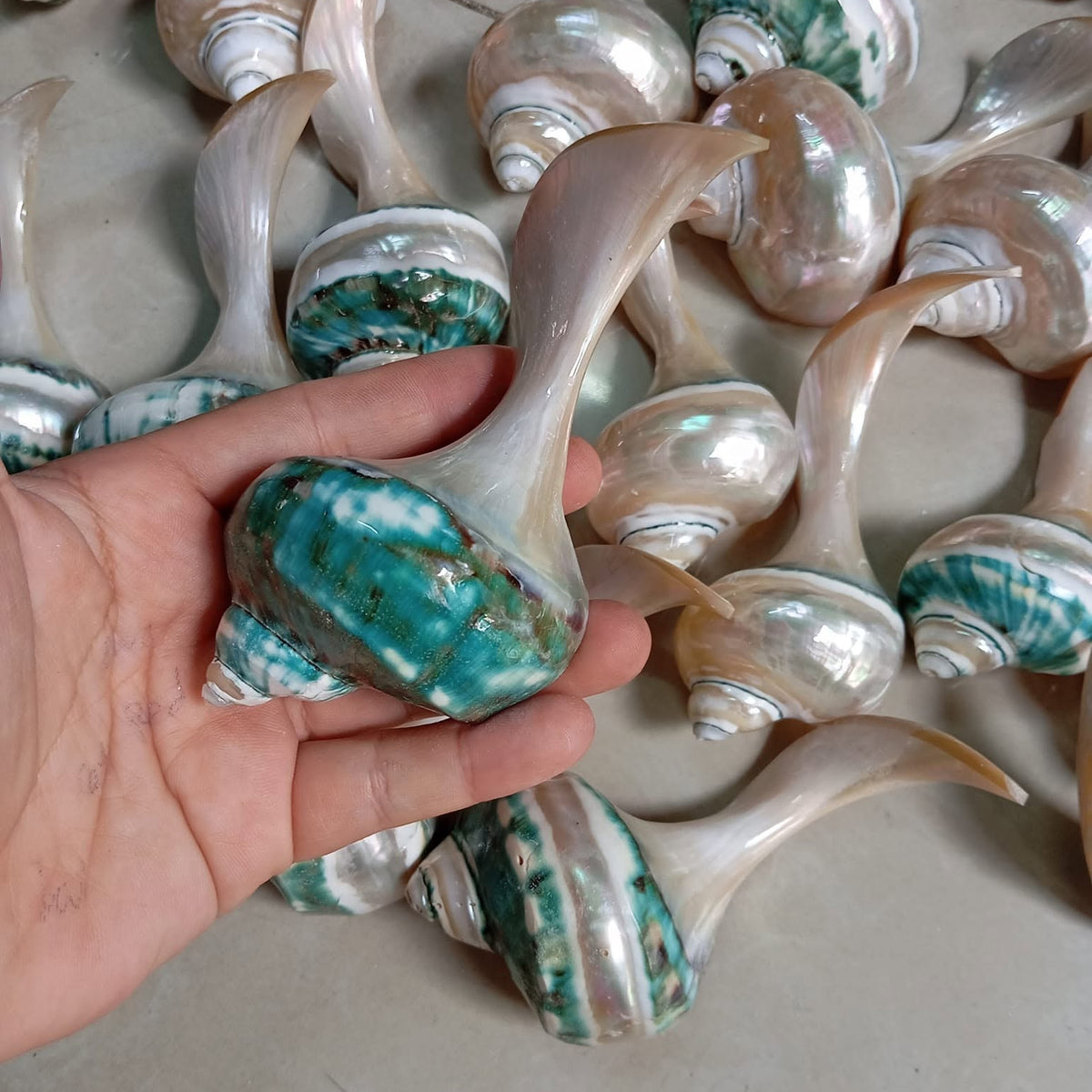 Natural Seashell Chopstick Rest, Coastal Dining Accessory, Beach Wedding Table Setting