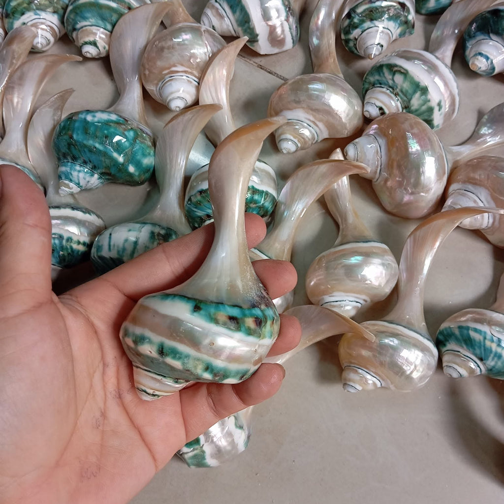 Natural Seashell Chopstick Rest, Coastal Dining Accessory, Beach Wedding Table Setting