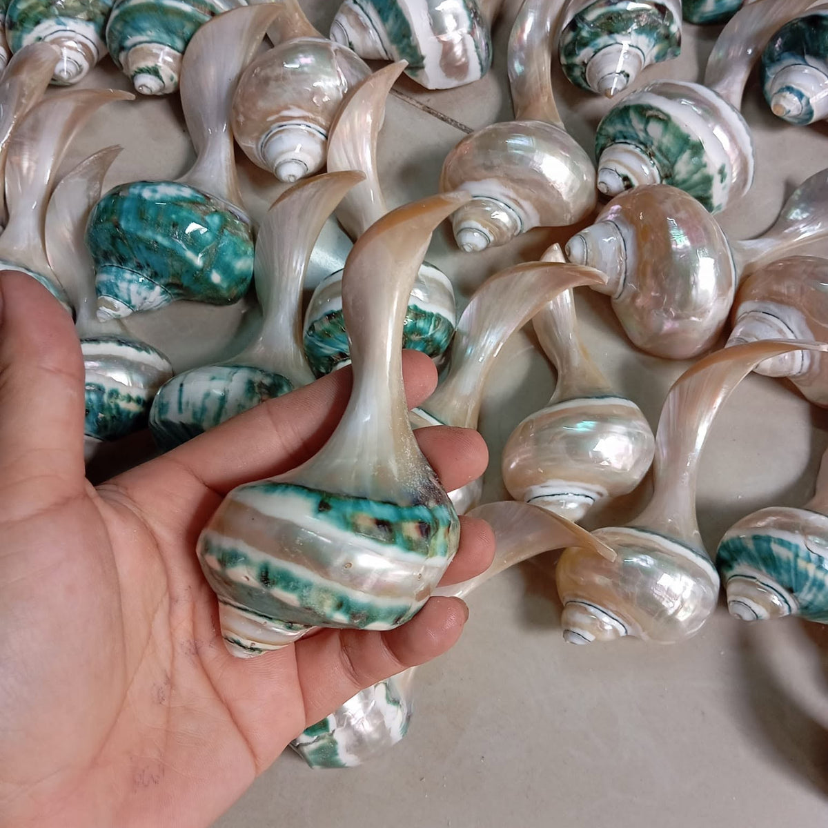 Natural Seashell Chopstick Rest, Coastal Dining Accessory, Beach Wedding Table Setting