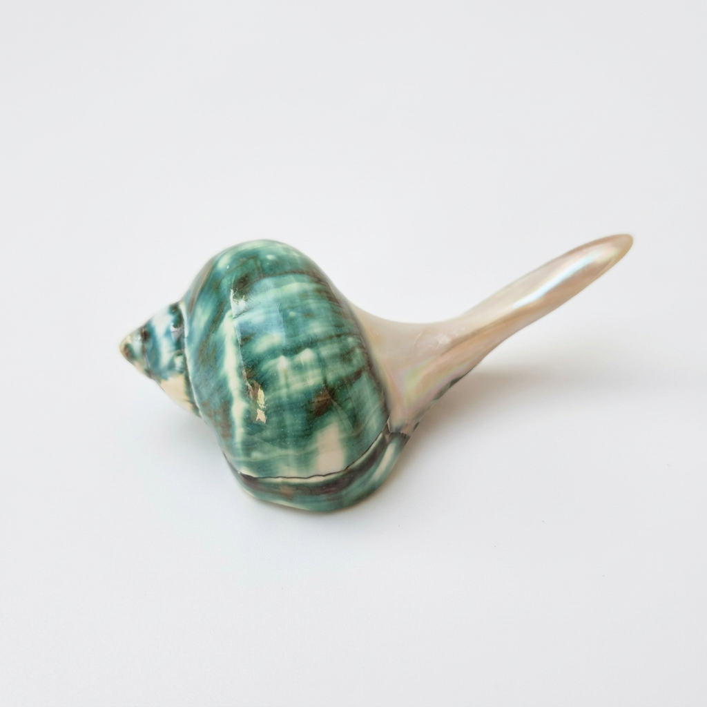 Natural Seashell Chopstick Rest, Coastal Dining Accessory, Beach Wedding Table Setting