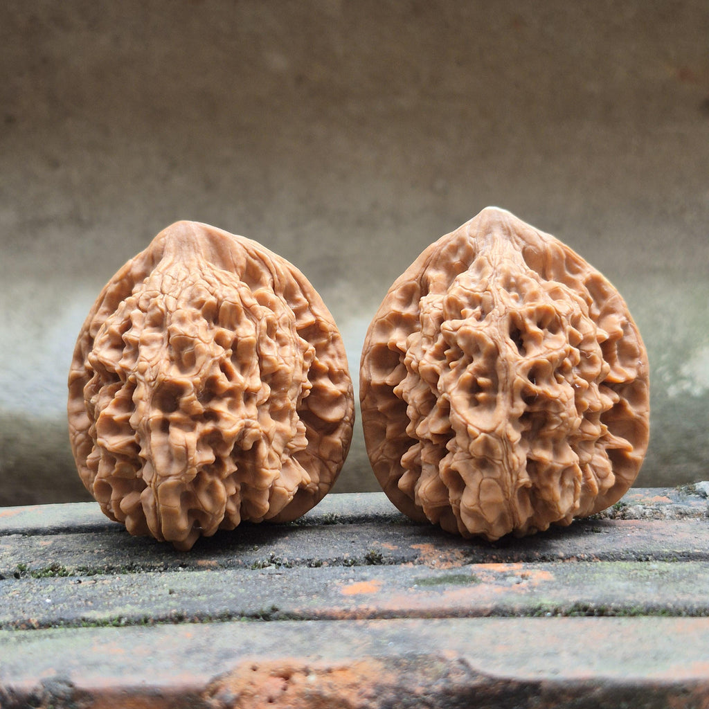 Wenwan Walnuts No 101