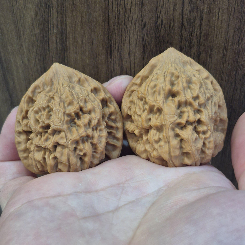 Wenwan Walnuts No 189