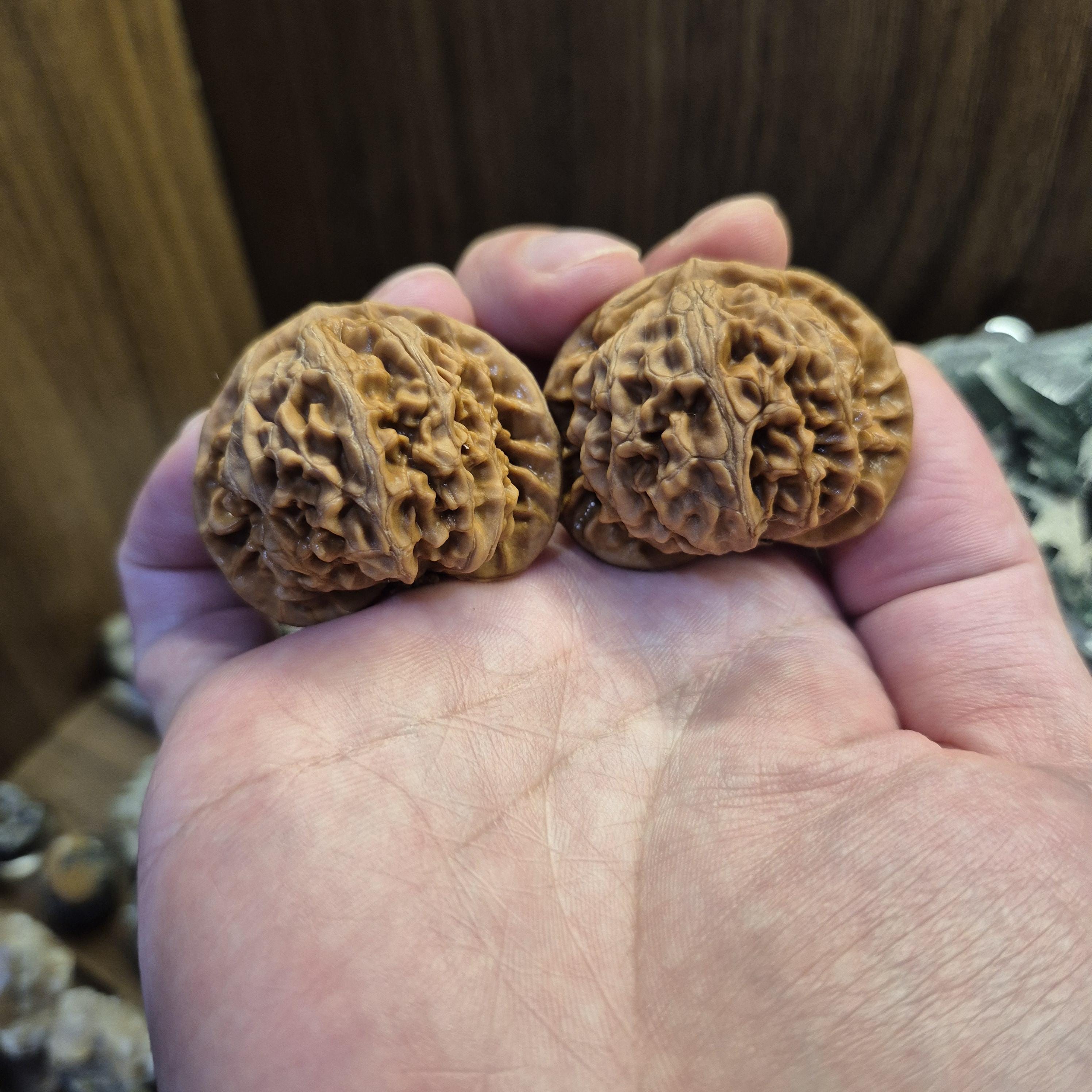 Lantern Wenwan Walnuts 38-40mm