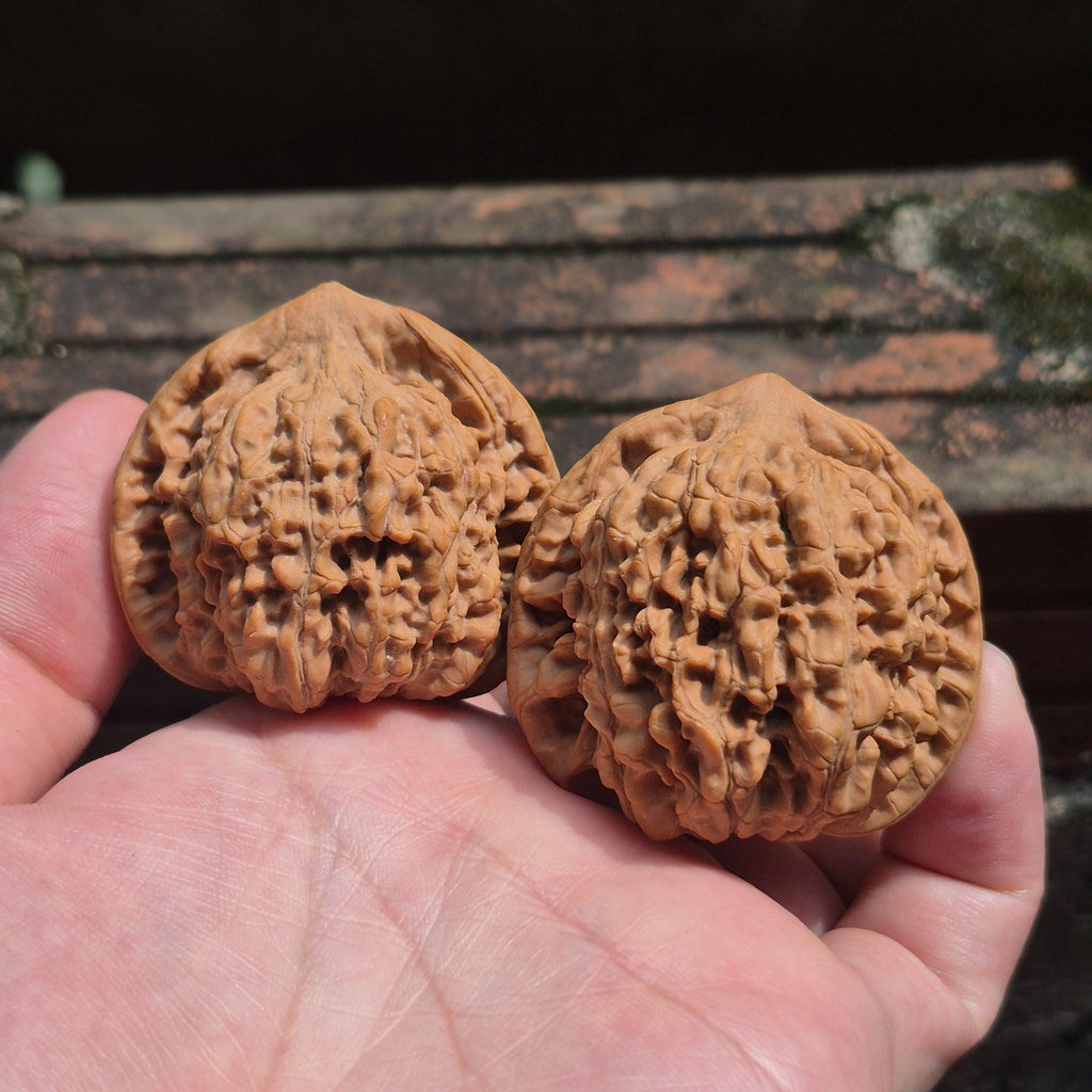 Large Wenwan Walnut Hand Exercise Balls 45-50mm, Pointed Peak Bodhi Shape