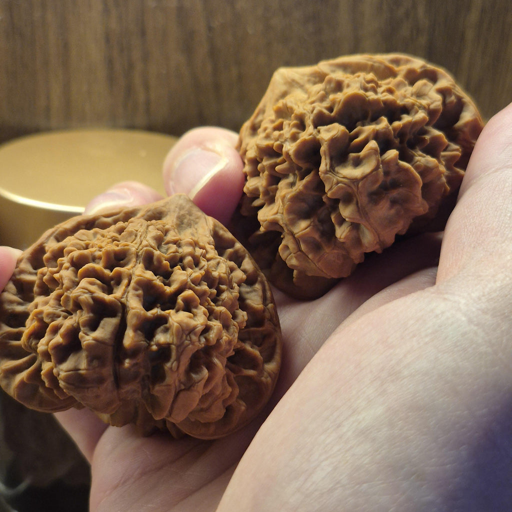 Wenwan Walnuts No 394