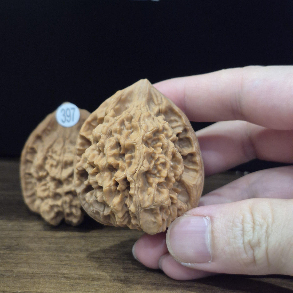 Wenwan Walnuts No 397