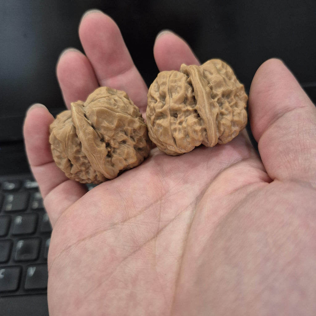 Toad Head Wenwan Walnuts 38-40mm