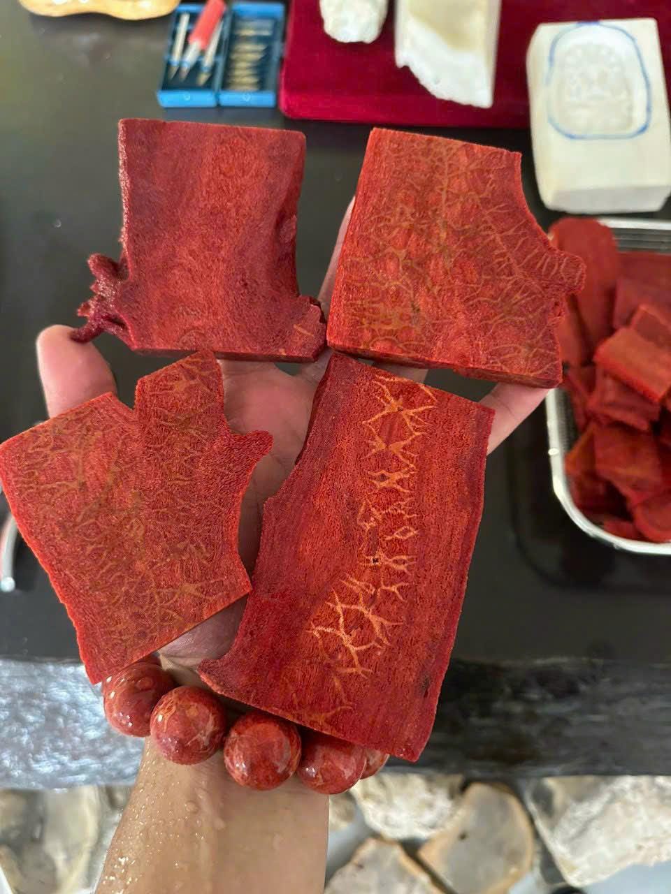 Natural Red Coral Bracelet 20mm, Handmade Statement Bead Bracelet, Genuine Coral Jewelry