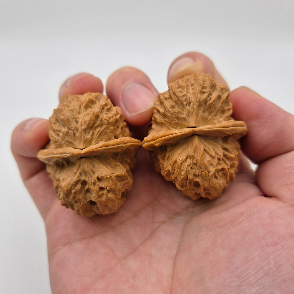 Wenwan Walnuts No 112