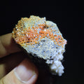 Vanadinite Crystal Cluster – Red Orange Cubic Crystals on Gray Rock Matrix – Collectible Mineral Specimen