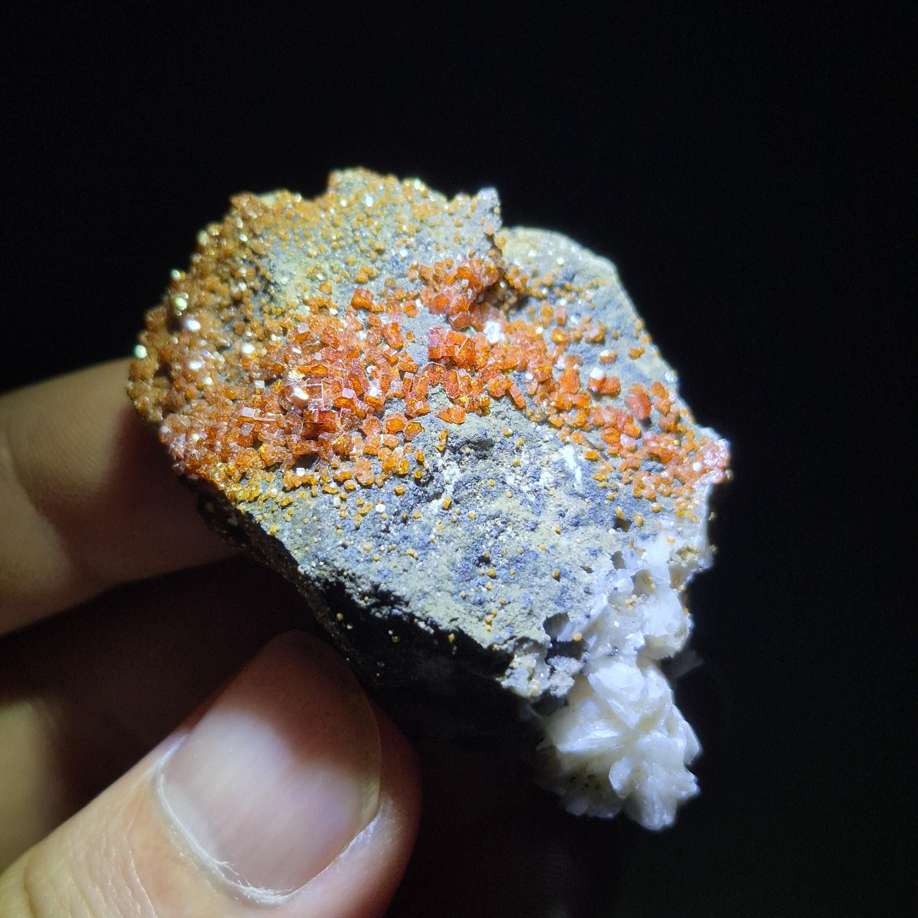 Vanadinite Crystal Cluster – Red Orange Cubic Crystals on Gray Rock Matrix – Collectible Mineral Specimen