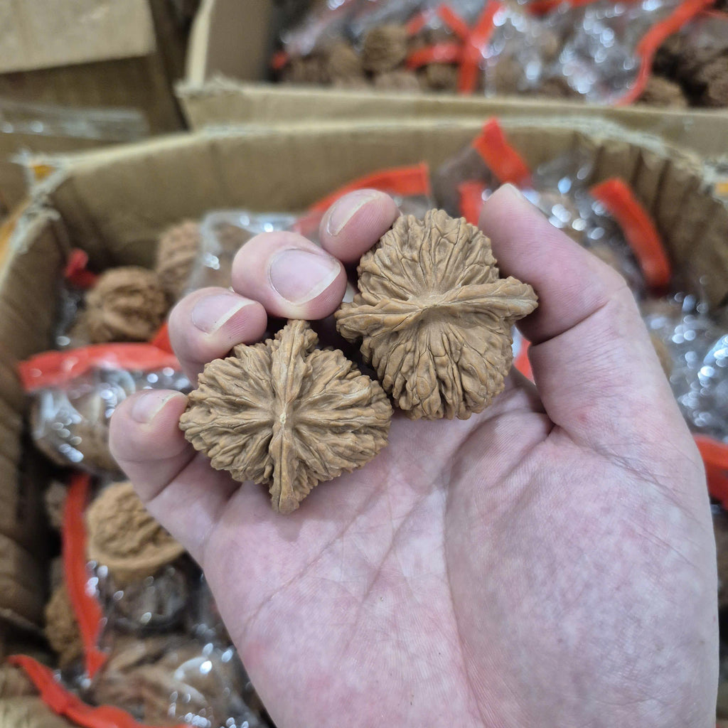 Wenwan Hand-Rolled Walnuts, Cheap for Beginners, Not Perfect Product