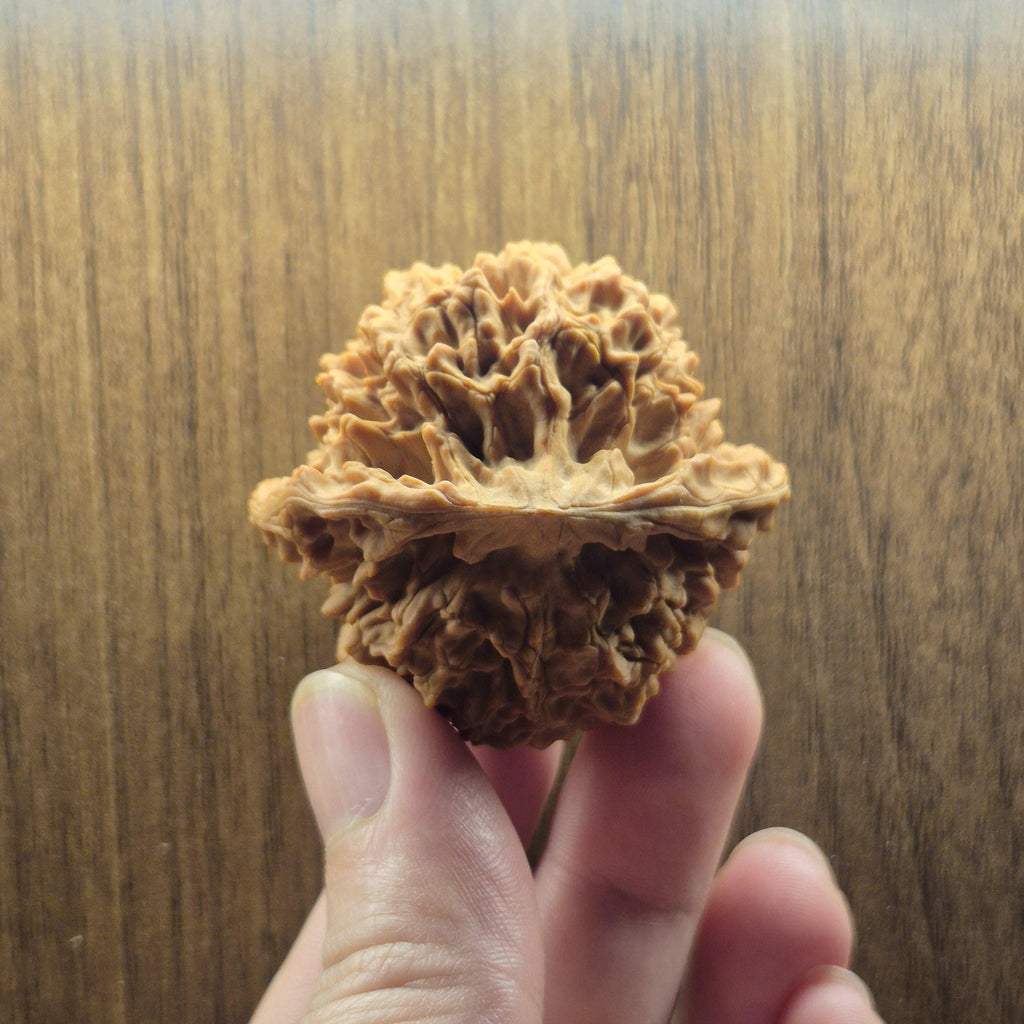 Wenwan Walnuts No 394