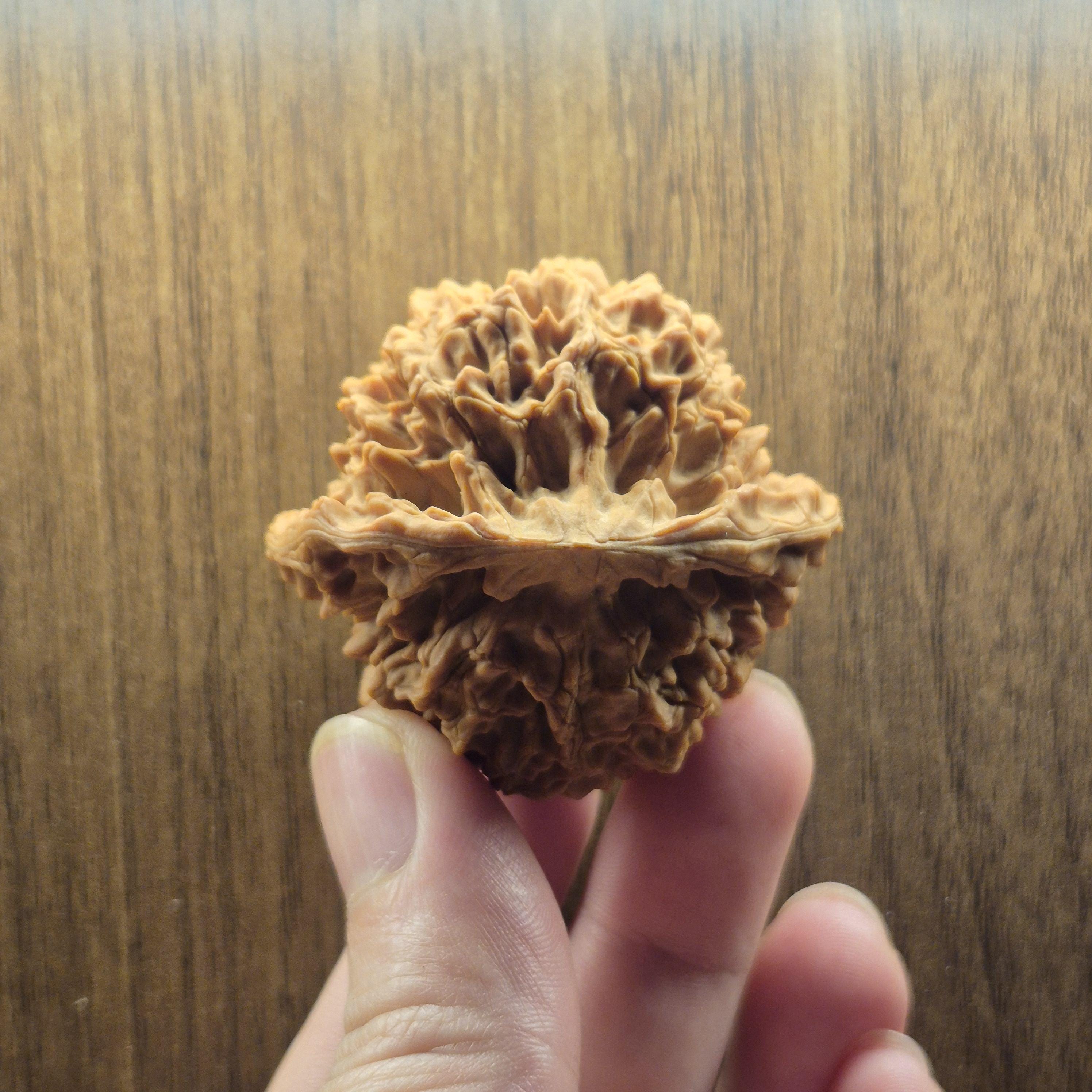 Wenwan Walnuts No 394