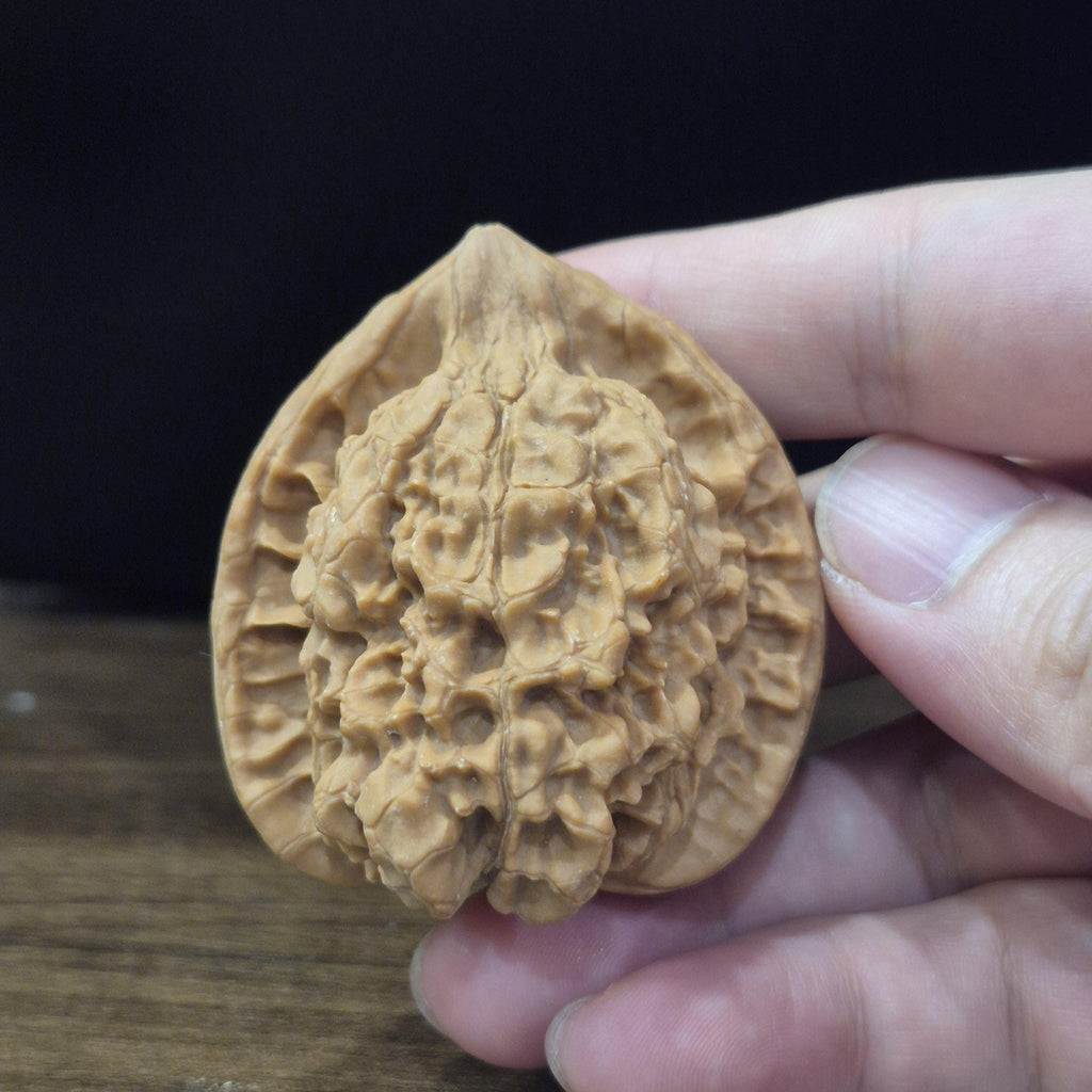 Wenwan Walnuts No 397