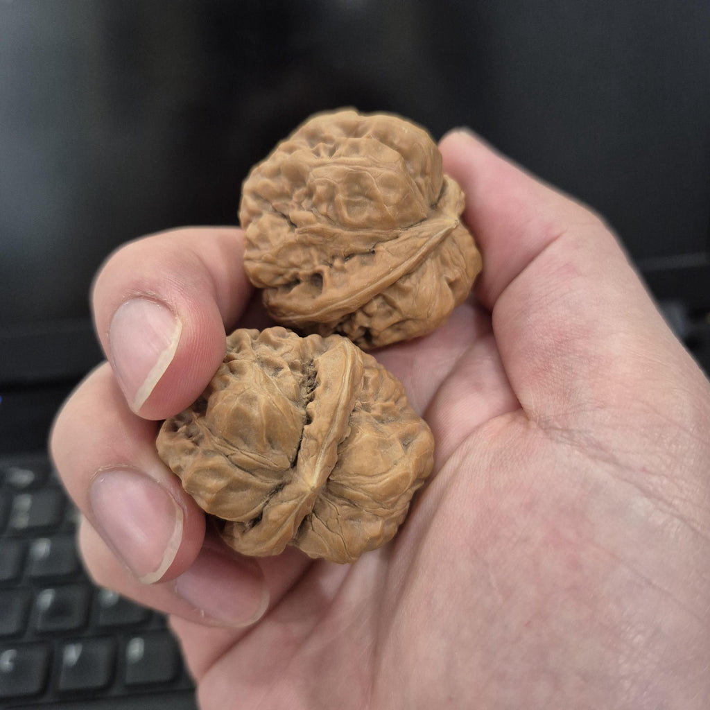 Toad Head Wenwan Walnuts 38-40mm