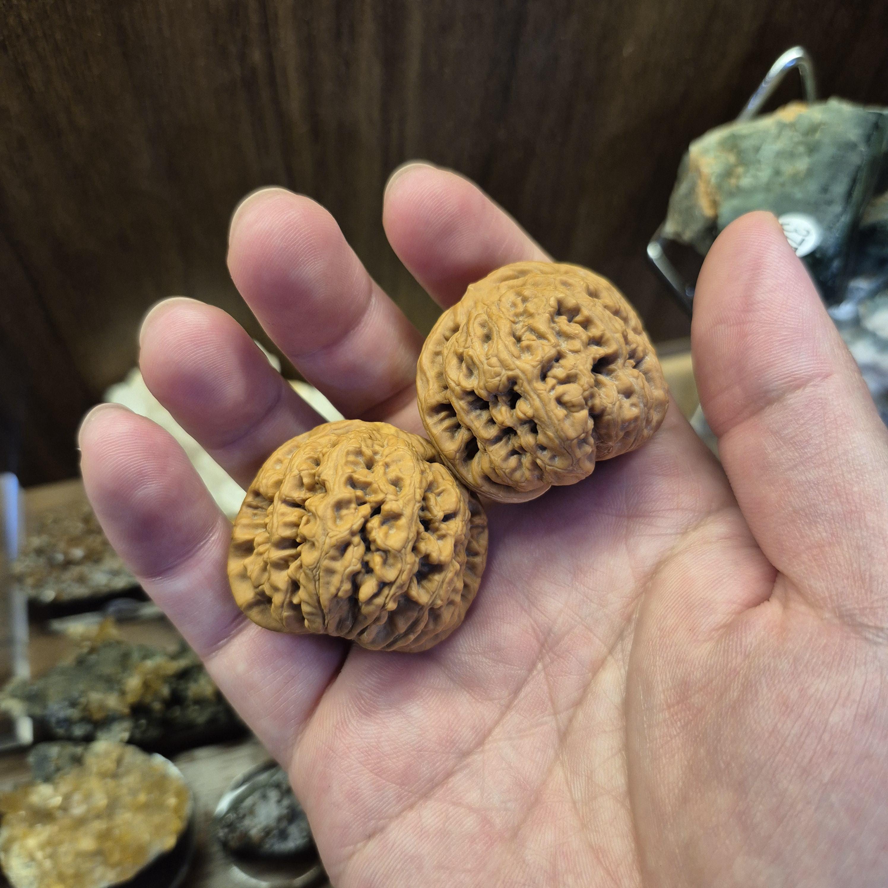 Natural Wenwan Walnut Pair Small Size 35-39mm